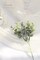 Floroom Artificial Flocked Eucalyptus Stems Faux Greenery Spray, 18pcs Best Filler Fake Plants for DIY Wedding Bouquet Centerpieces Arrangement